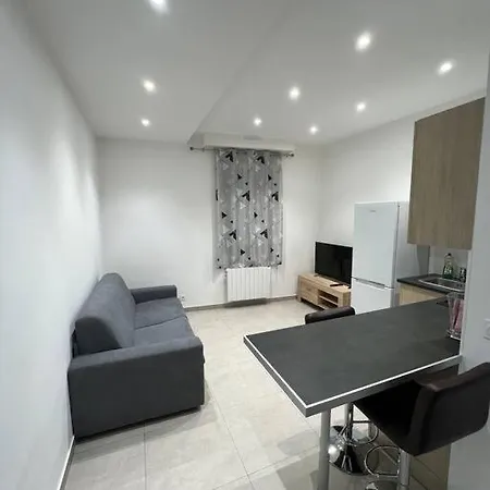 Magnifique 2 Pieces, Avec 4 Couchages Apartman Nizza